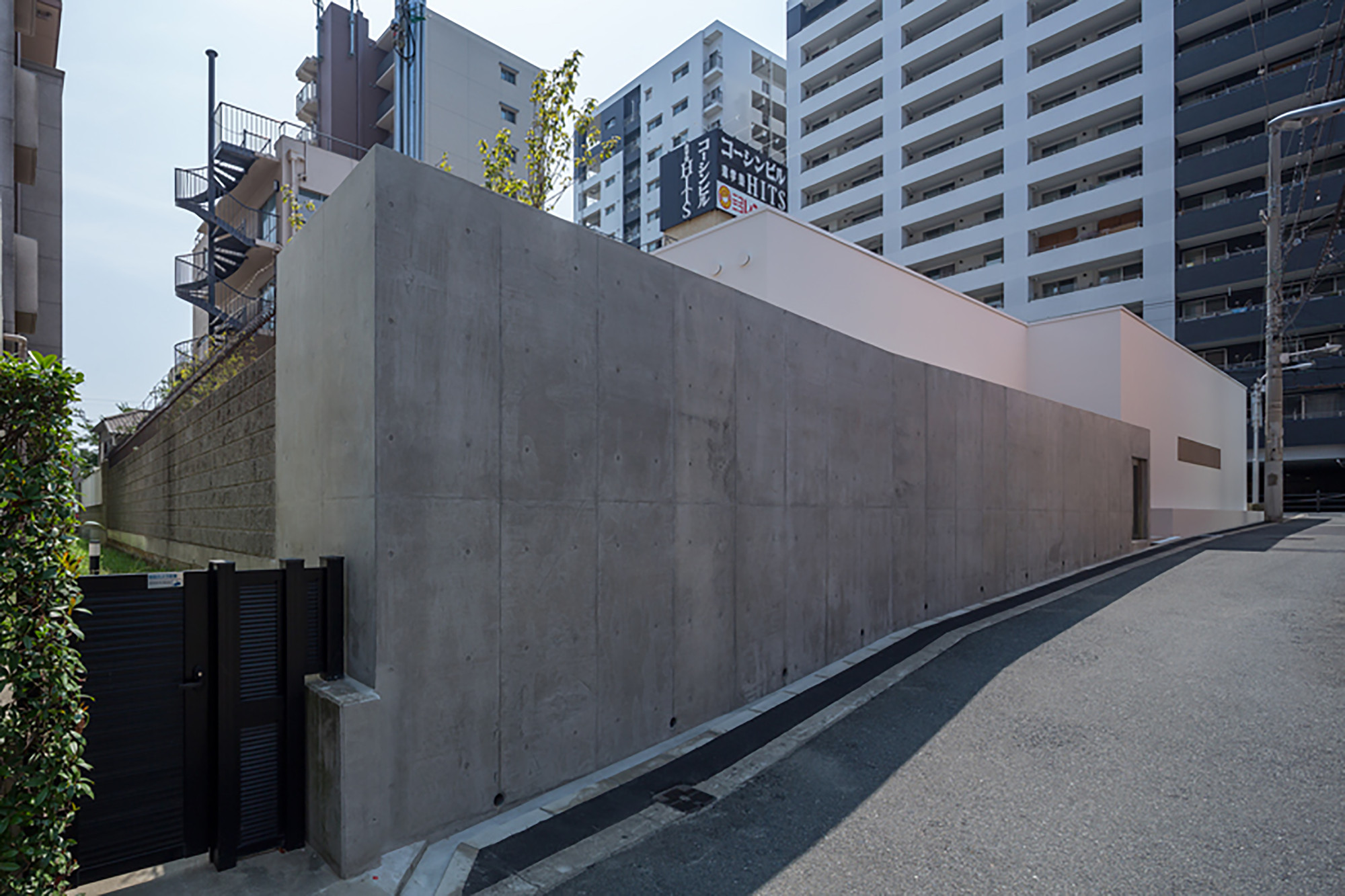 House with Podocarpus  Yasutoshi Mifune + Toru Atarashi-10