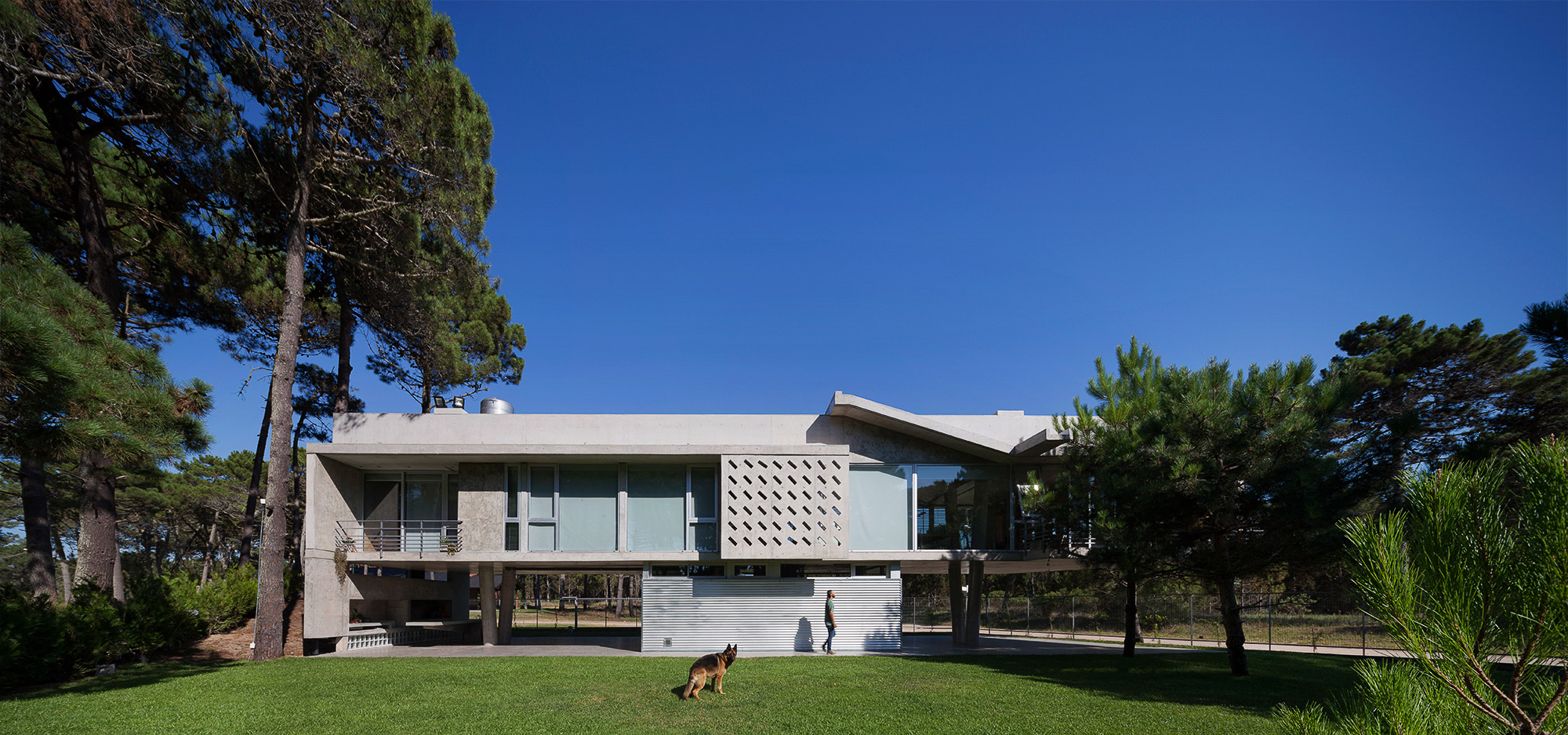 悬浮森林中的宁静家园-24