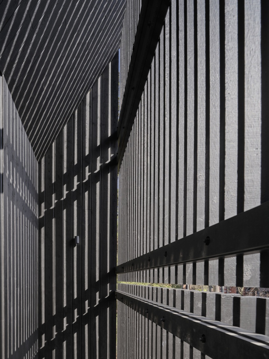 丨加拿大多伦多丨Batay Csorba Architects-49