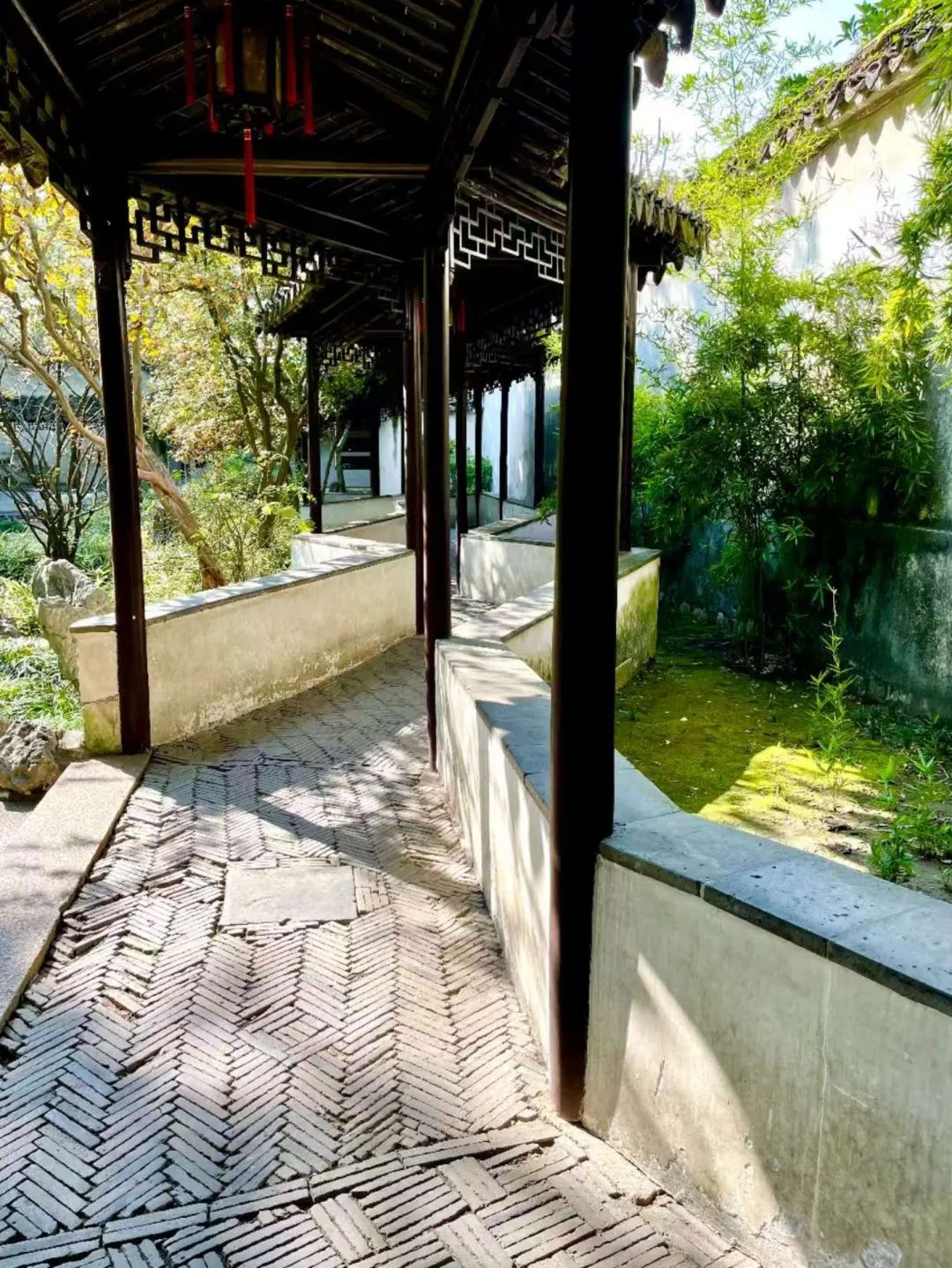 打卡留园，这样拍秒出大片！-25