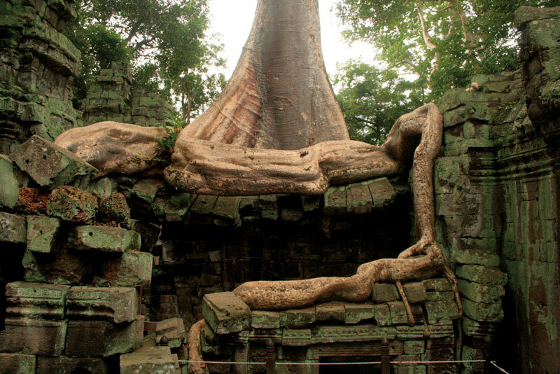 吴哥窟塔普伦寺修复项目丨柬埔寨-2