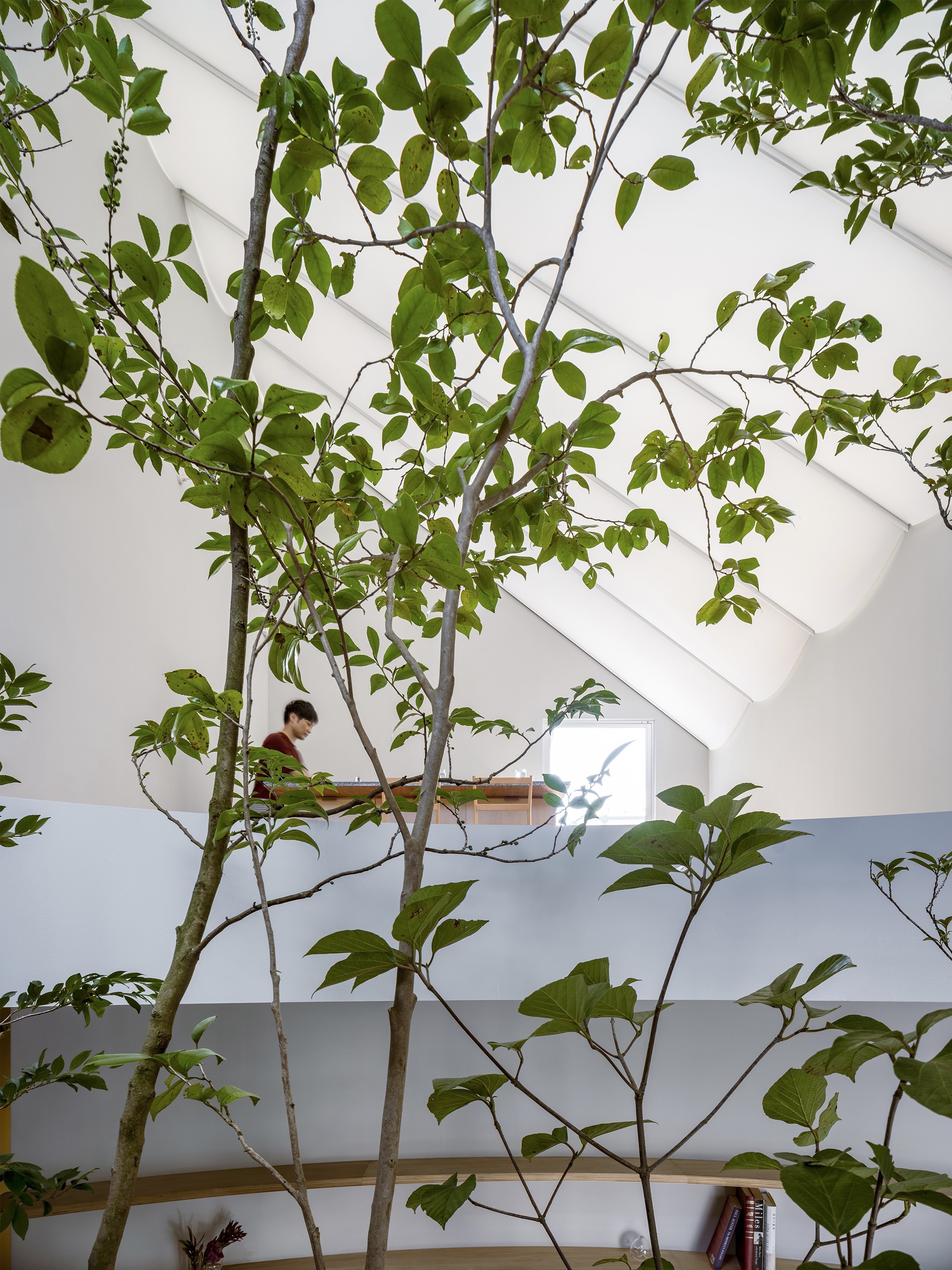 带膜屋顶的房子丨日本东京-29