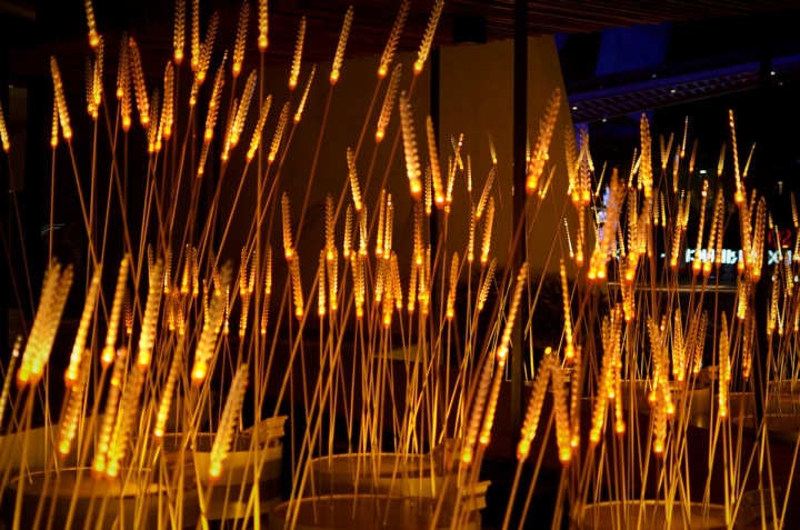 Royal Rice Field（皇家稻田）丨泰国曼谷丨Apostrophy’s工程设计工作室-15