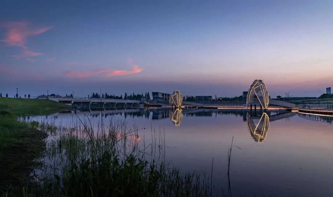 从繁华渔港到生态胜地，重构太湖周边生态面貌 | 太湖流域小溪港鱼咀公园-8