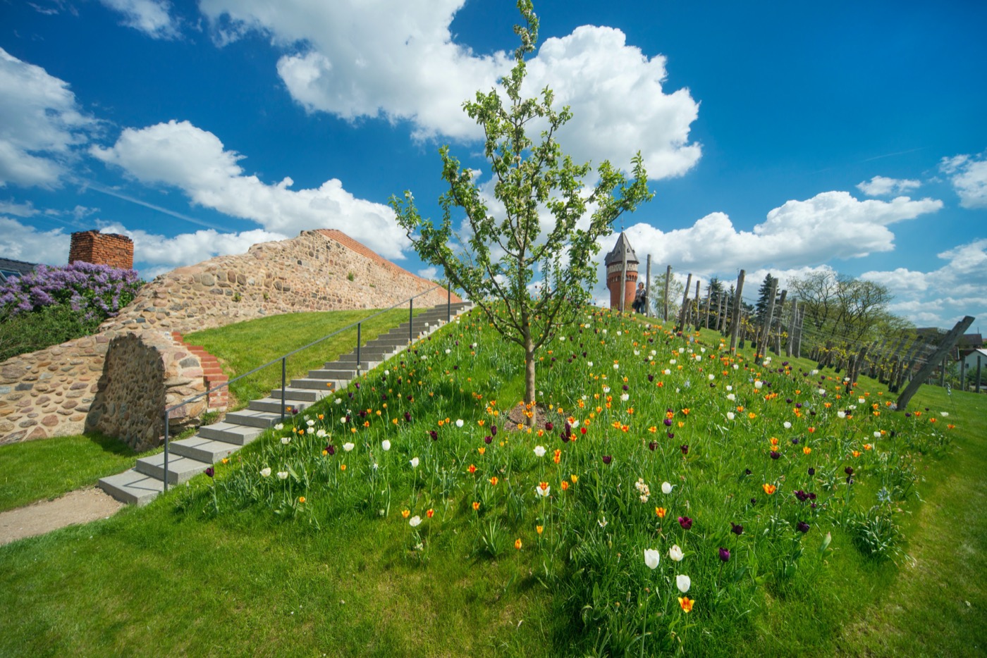 城市花园复兴 · 德国布尔城市中心更新-14