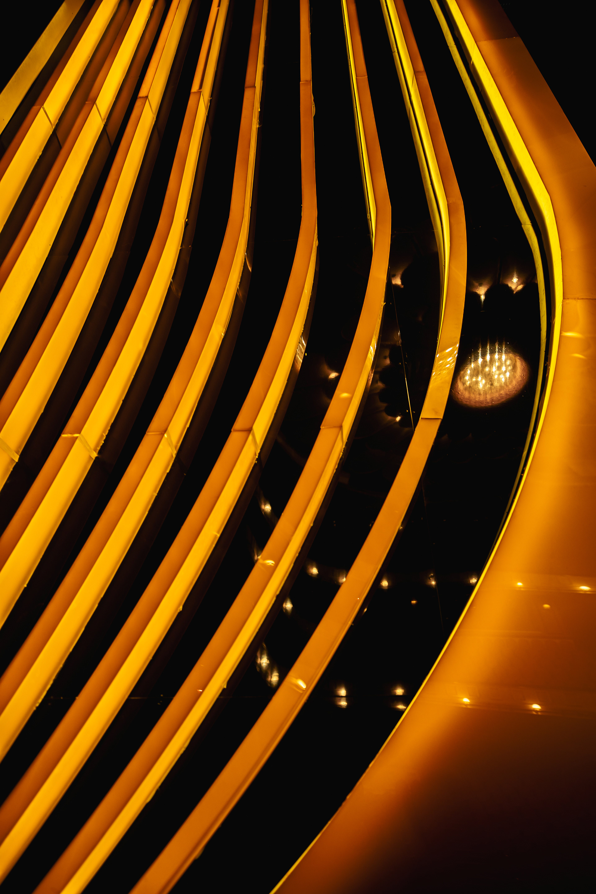 43 开罗国际电影节丨埃及开罗-16