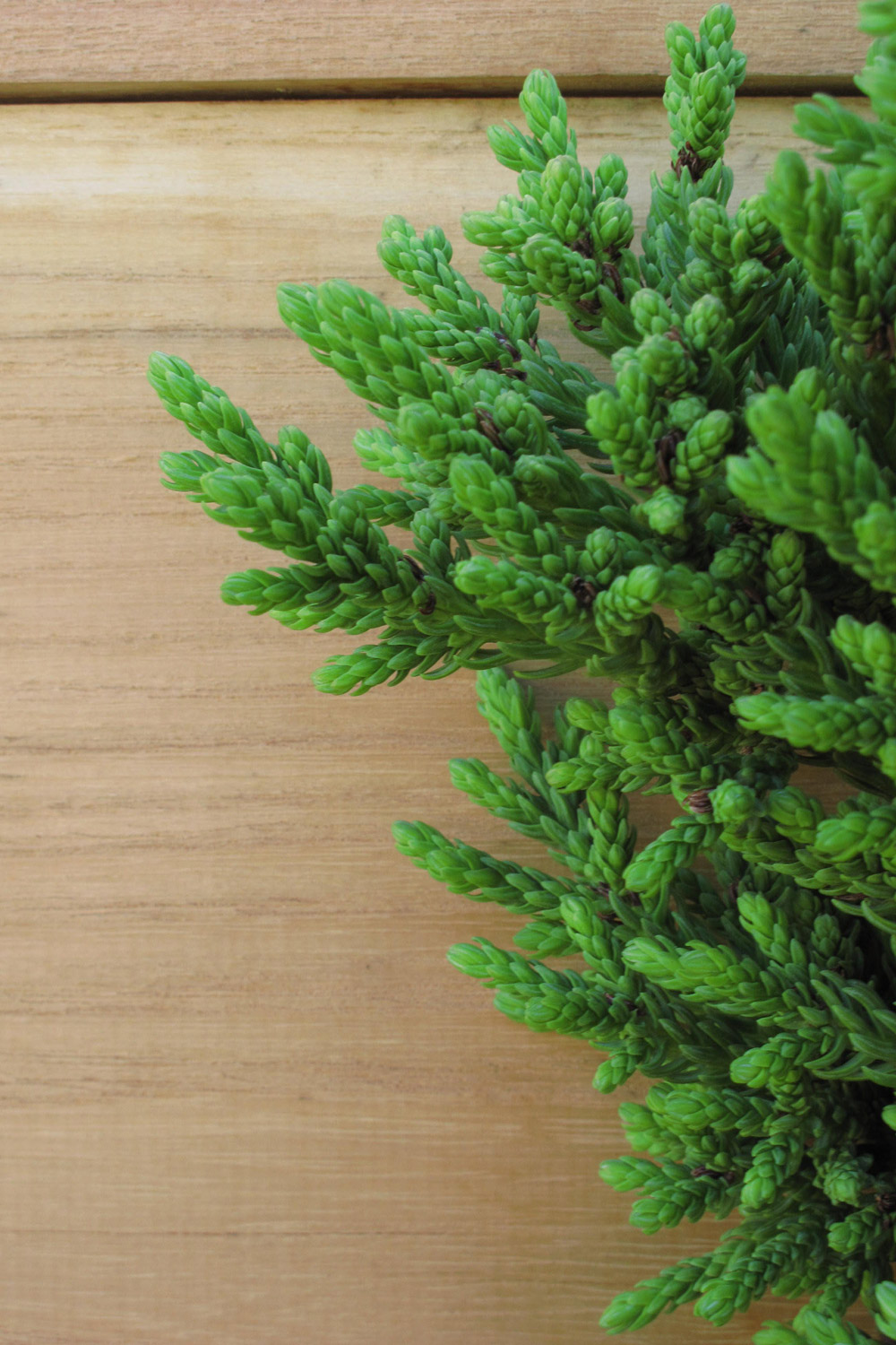 丨美国芝加哥-27