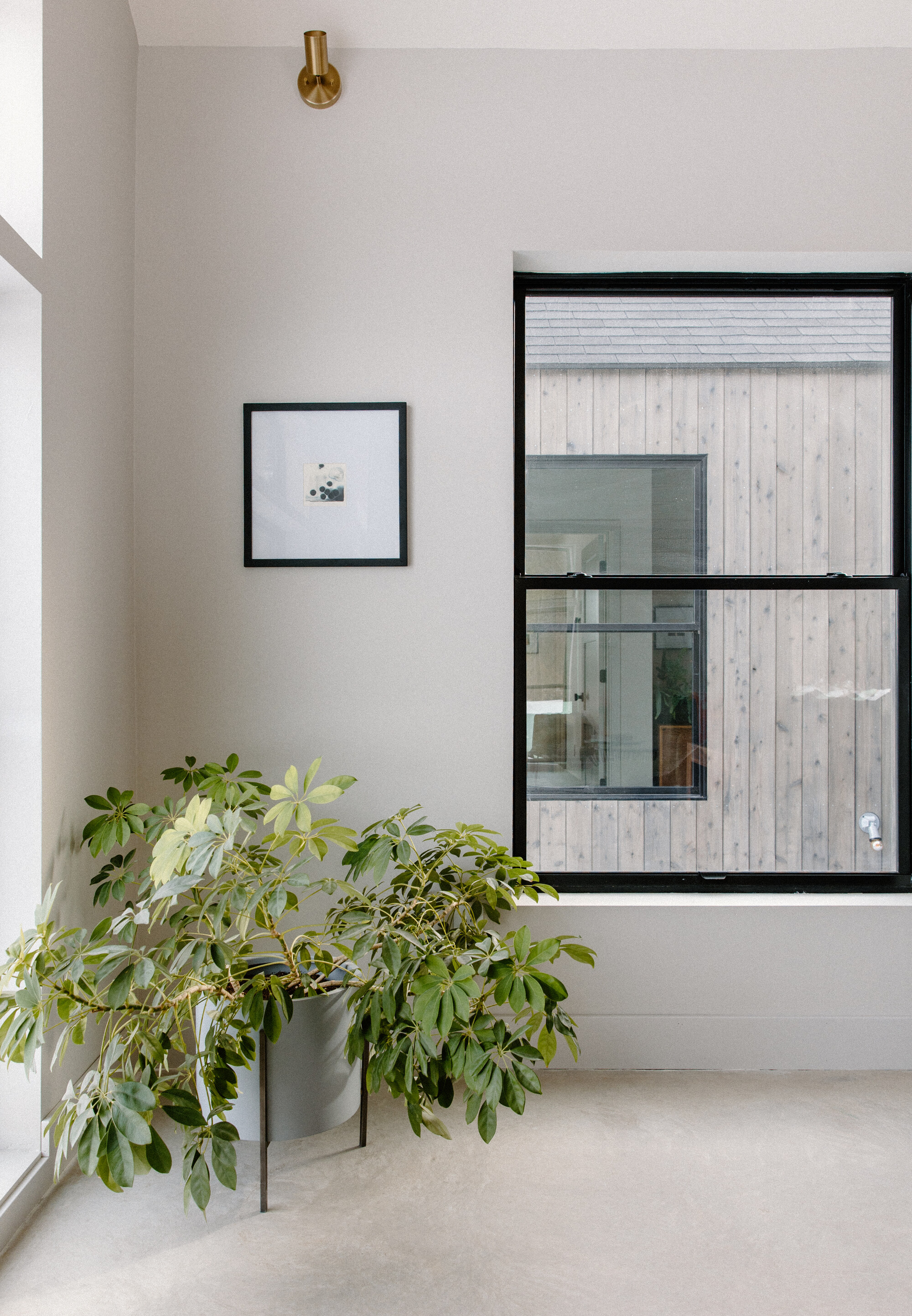 黑色房子丨美国威斯康星丨Nakamoto Forestry-21