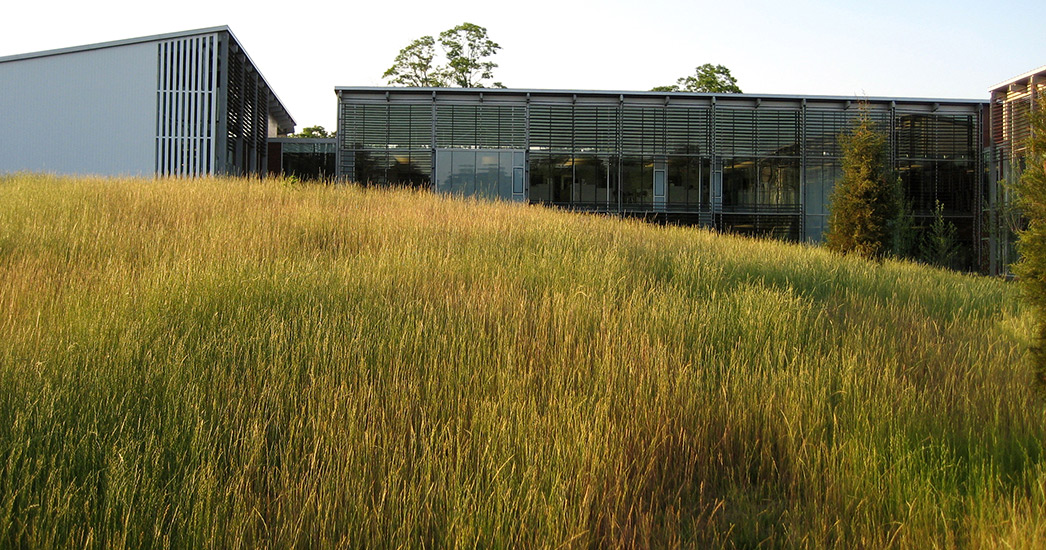 国际野生动物保护区基金会景观恢复项目丨IFAW-3