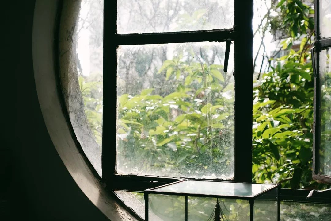 刘晓都的“秘密花园” | 都市实践办公室探秘-136