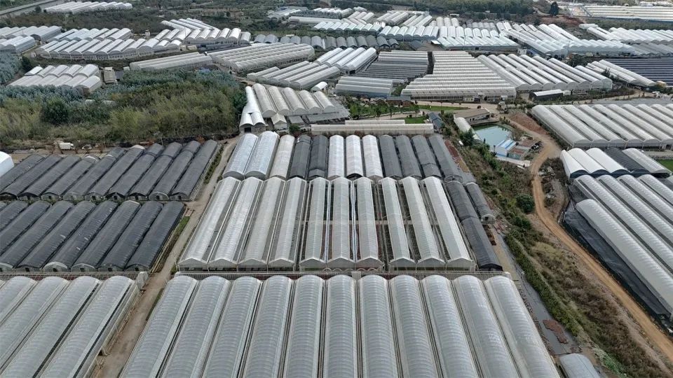 几样工作室｜少即是足——2024滇池风土艺术季入口“大棚”-58