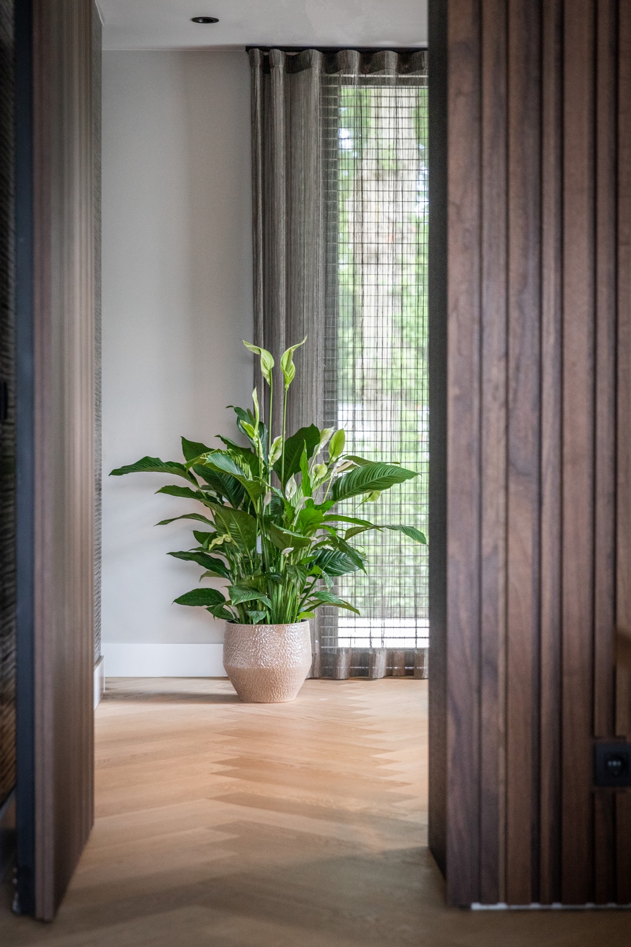 Interior with cozy feel-9