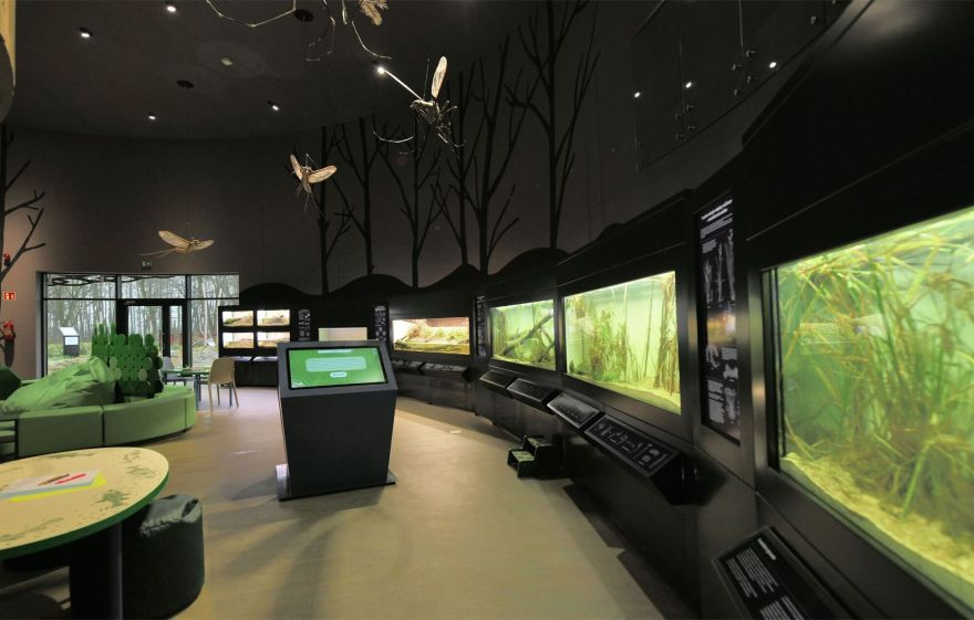 Kumak 马祖里生物多样性与自然教育中心丨波兰丨Kwadratura-53