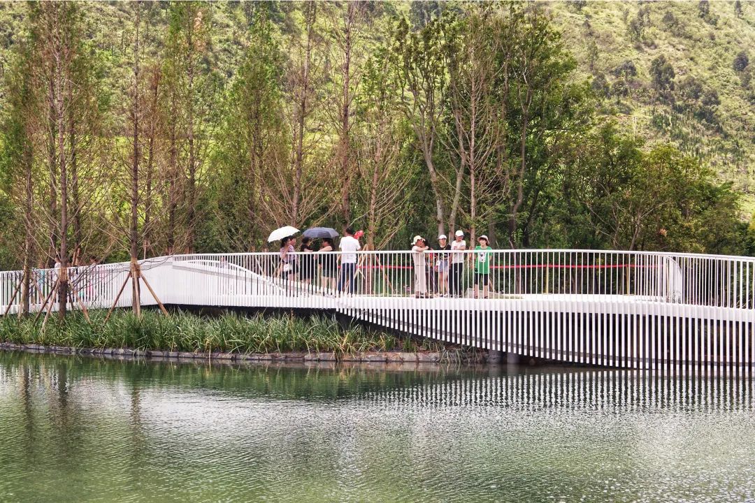 抚仙湖星空小镇 | 生态修复的人与自然和谐共生典范-31