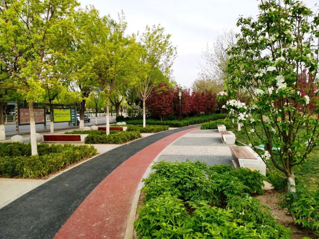 经开区9号绿地景观提升项目(海棠公园)丨中国北京丨北林地景-55