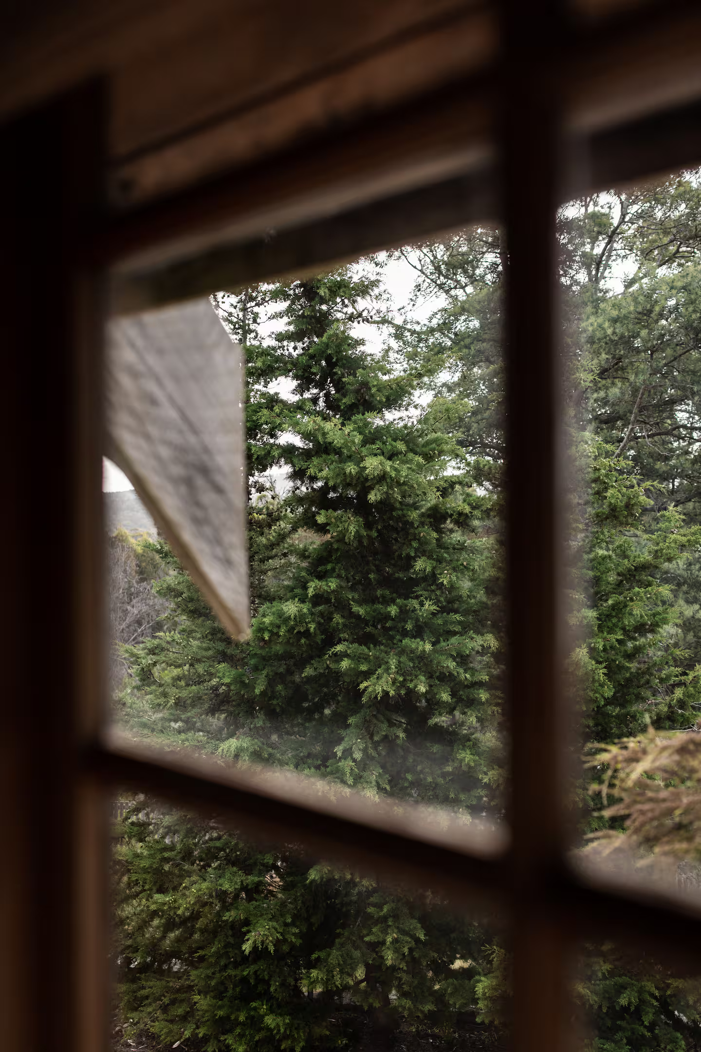 SABI民宿丨澳大利亚-27