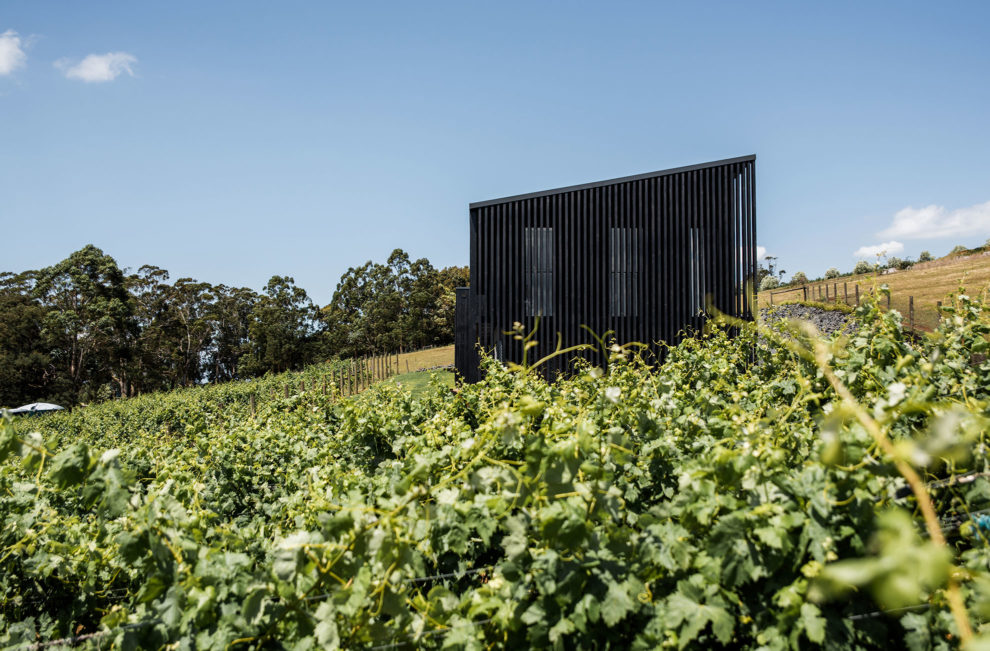 Portsea Surf Life Saving Club Carr Design-2