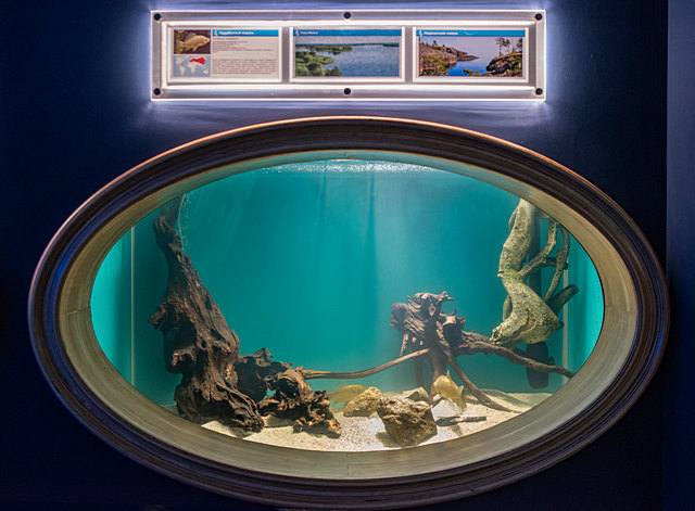 圣彼得堡海洋馆新展览创建项目丨俄罗斯圣彼得堡-35