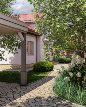 绿色绿洲中的一座温馨小屋