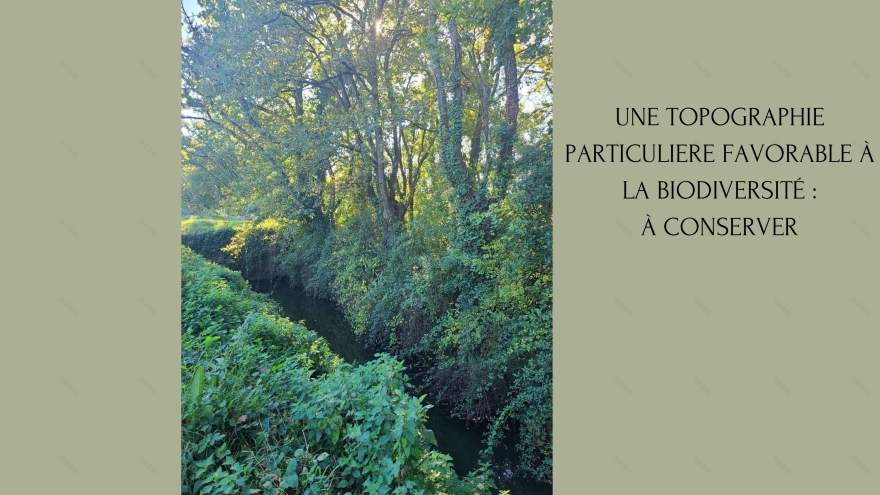 Analyse paysagère d'un site en transition ville nature-8