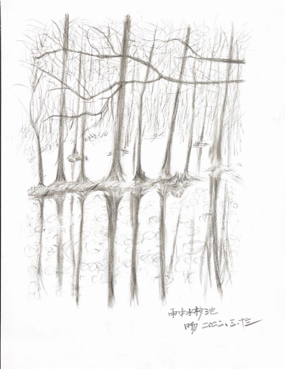 桐乡濮院红旗漾杉林部落共享餐厅丨中国嘉兴丨y.ad studio｜上海严旸建筑设计工作室-5