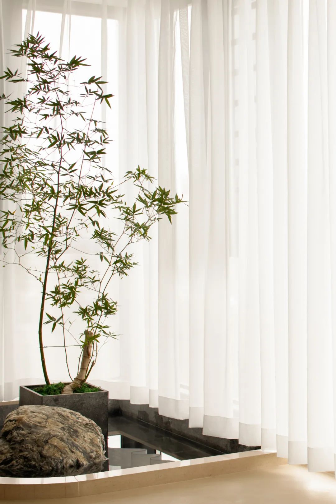 春华秋实丨中国金山丨庄启祥,林金花,关则杰-51