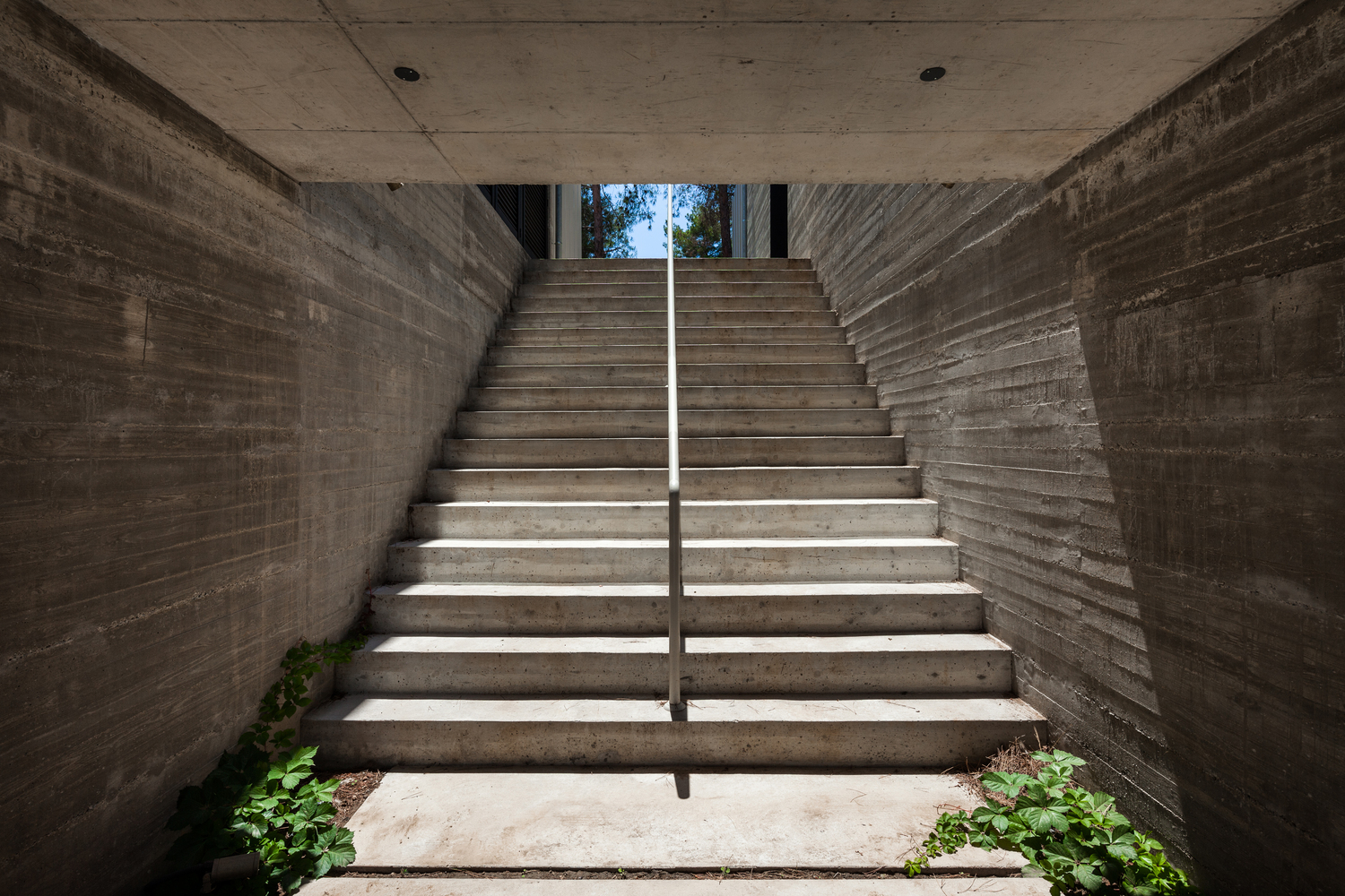 Cyprus 的 WELL 58 House丨Ekky Studio Architects LLC-27