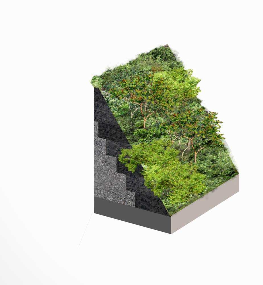 总督岛 · 二期 山丘丨美国纽约丨West8-24