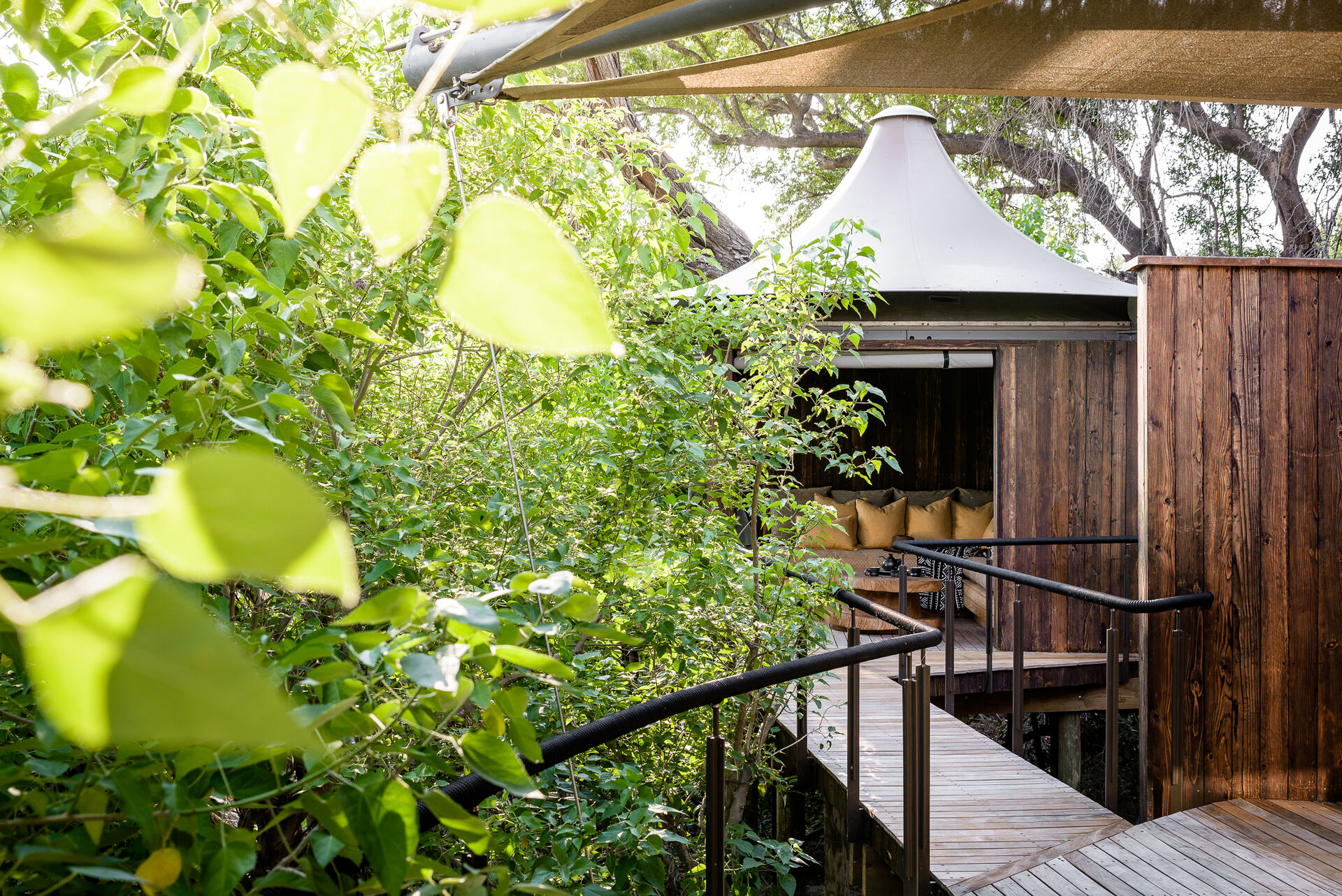 西格拉野生动物园旅馆丨K,M2K-8