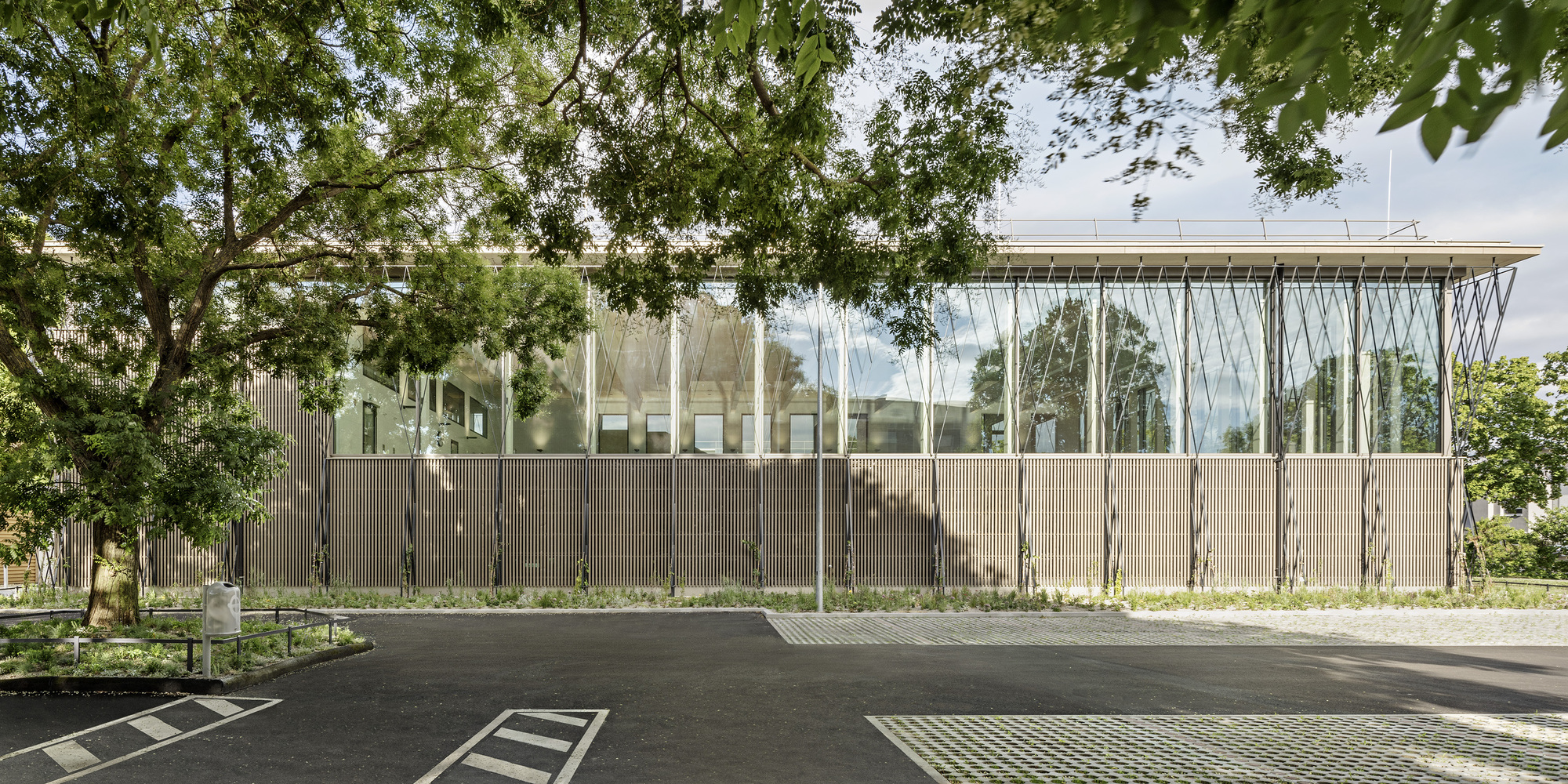 Public Swimming Pool Großfeldsiedlung / Illiz Architektur-29