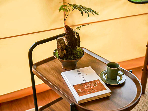 Luxury Safari Tent Glamping Resort in a Valley-8