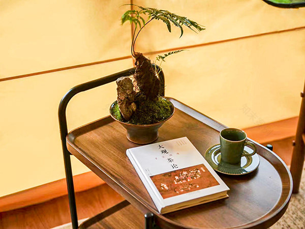 Luxury Safari Tent Glamping Resort in a Valley-8