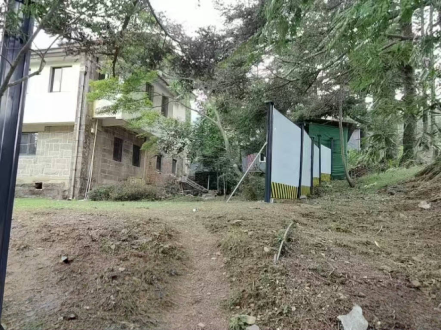 庐山植物园基础设施提升改造项目圆满竣工!-64