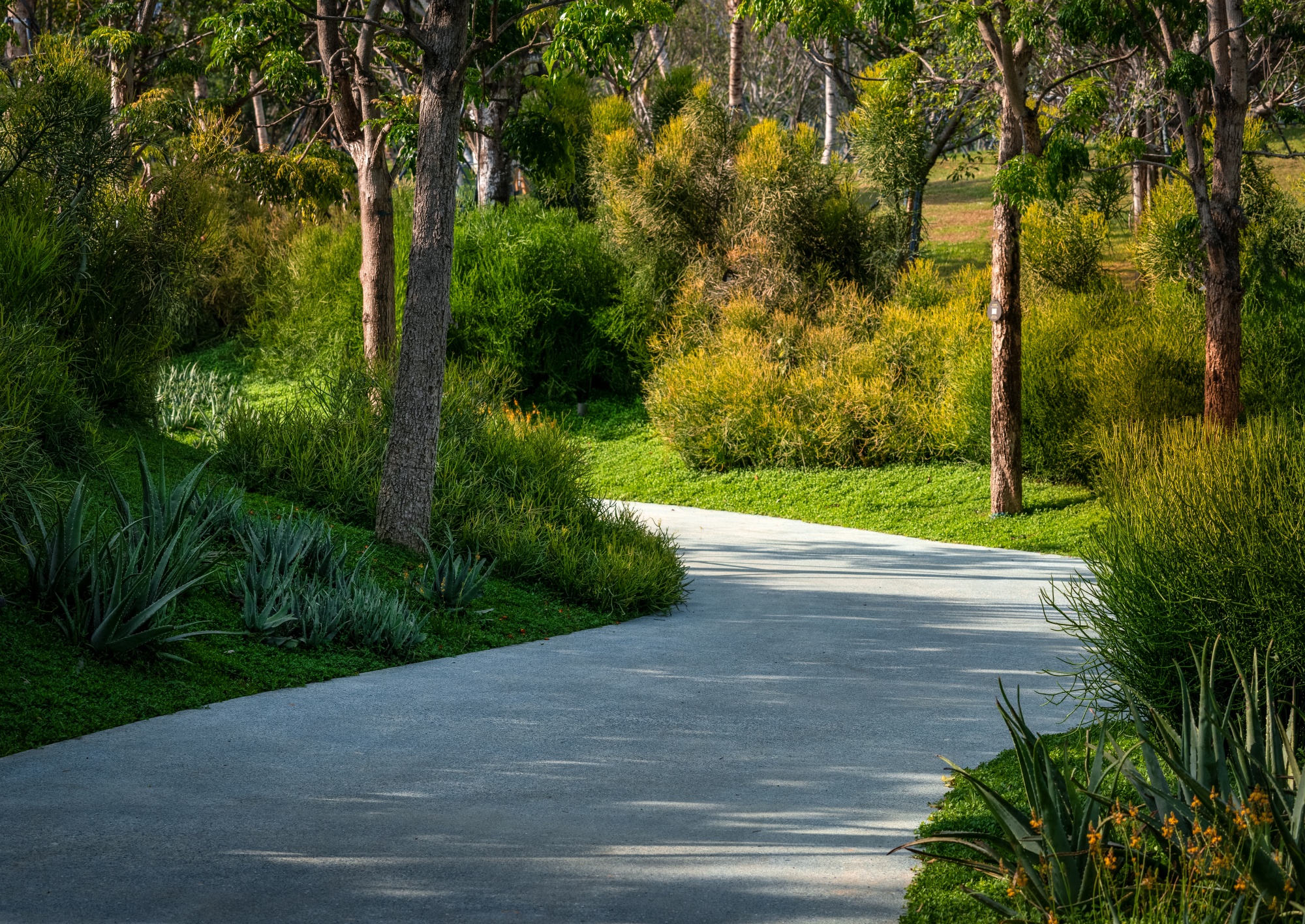 三亚海棠河生态公园（二期）·热带奇趣园丨中国三亚丨LOLA Landscape Architects B.V.-53