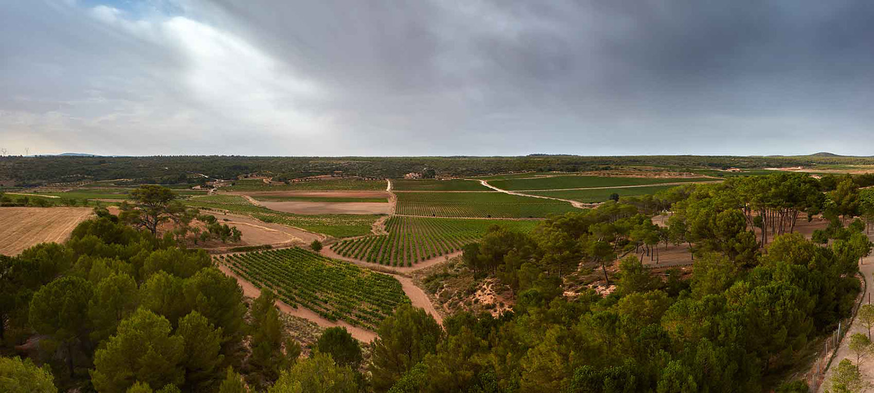 葡萄园小木屋，西班牙 / Ramón Esteve Estudio-69