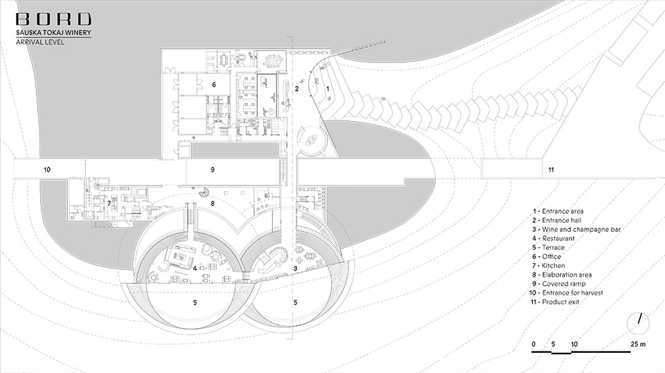 Sauska Tokaj酿酒厂，匈牙利 / BORD Architectural Studio-75