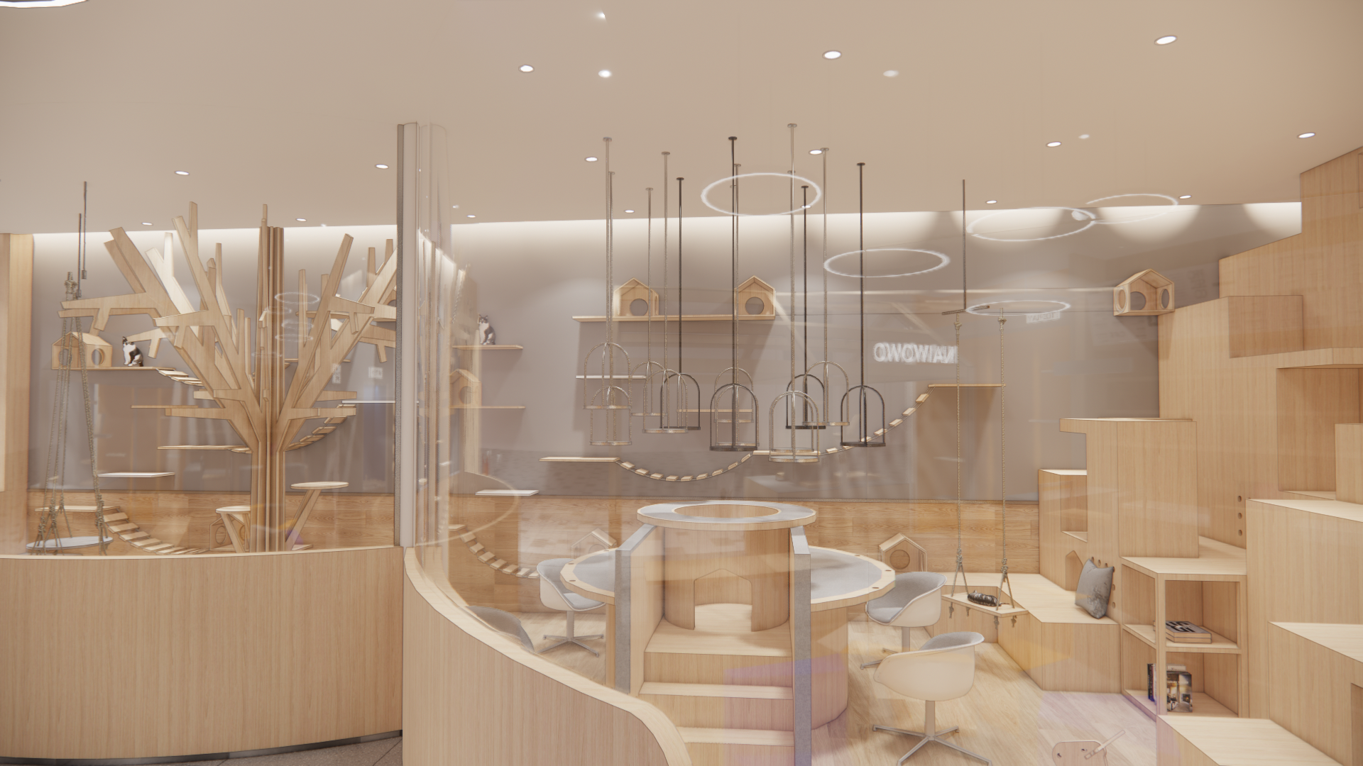 江西九江猫咖宠物店丨中国九江丨群建装饰-6