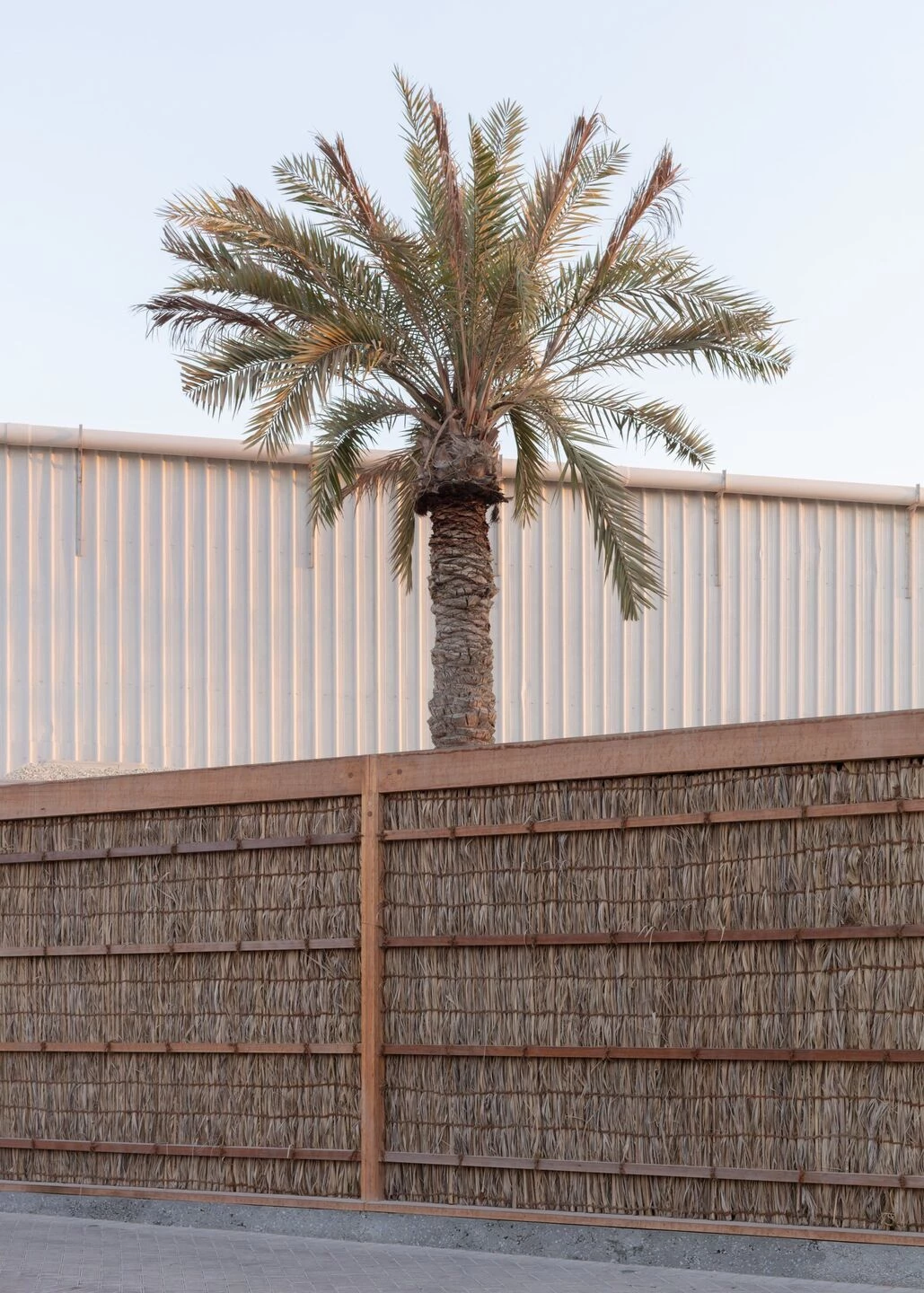 Al Naseej 纺织厂丨巴林丨Leopold Banchini-46