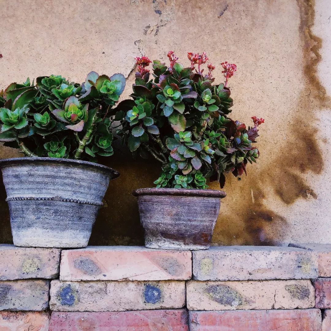 边陲寻觅,旧物新生——乙仓空间设计事务所探索之旅-28