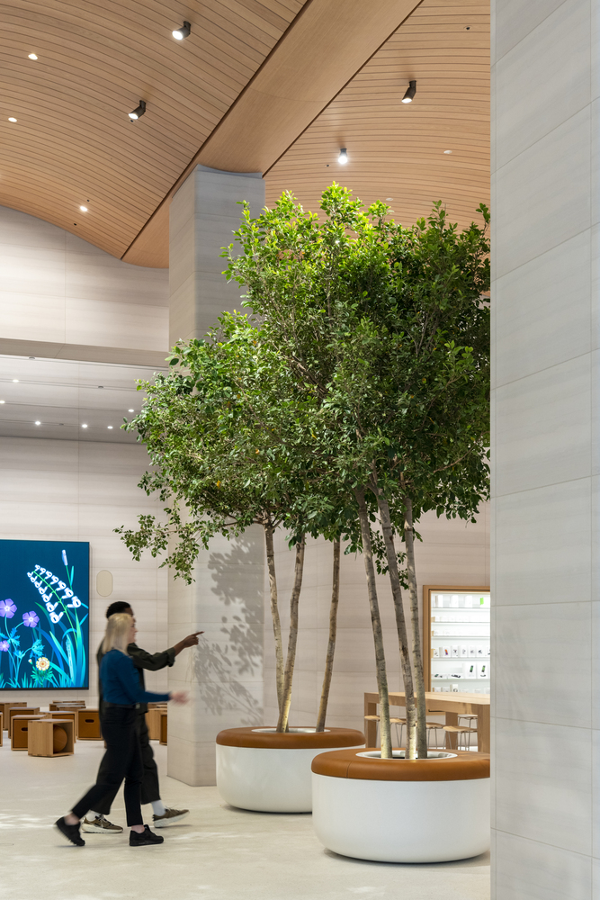 伦敦苹果商店丨英国伦敦丨Foster + Partners-19