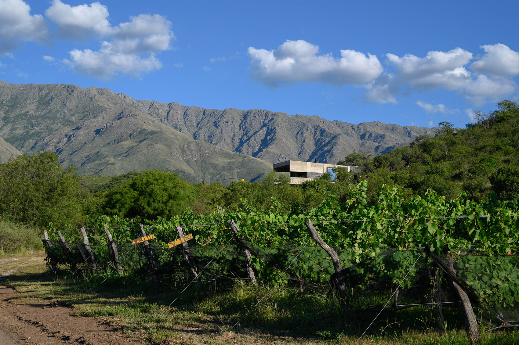 JR 山间小屋丨阿根廷科尔多瓦丨Arq. Paul Dragicevic-82