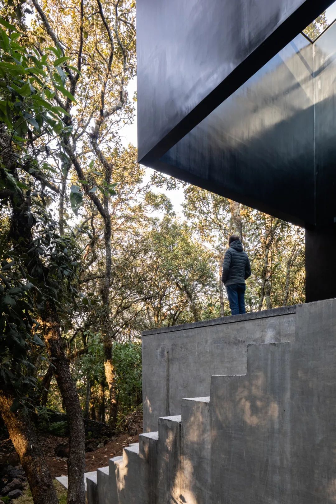 自然灵感,建筑生命——PPAA 的开放设计理念-6