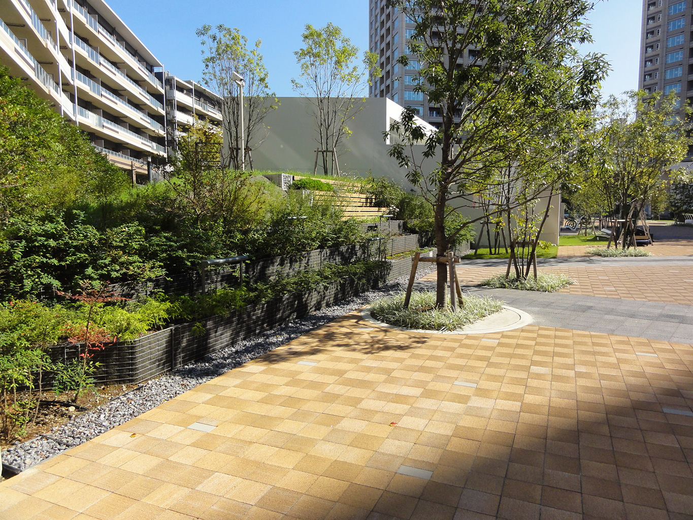 柏之叶大学城-16