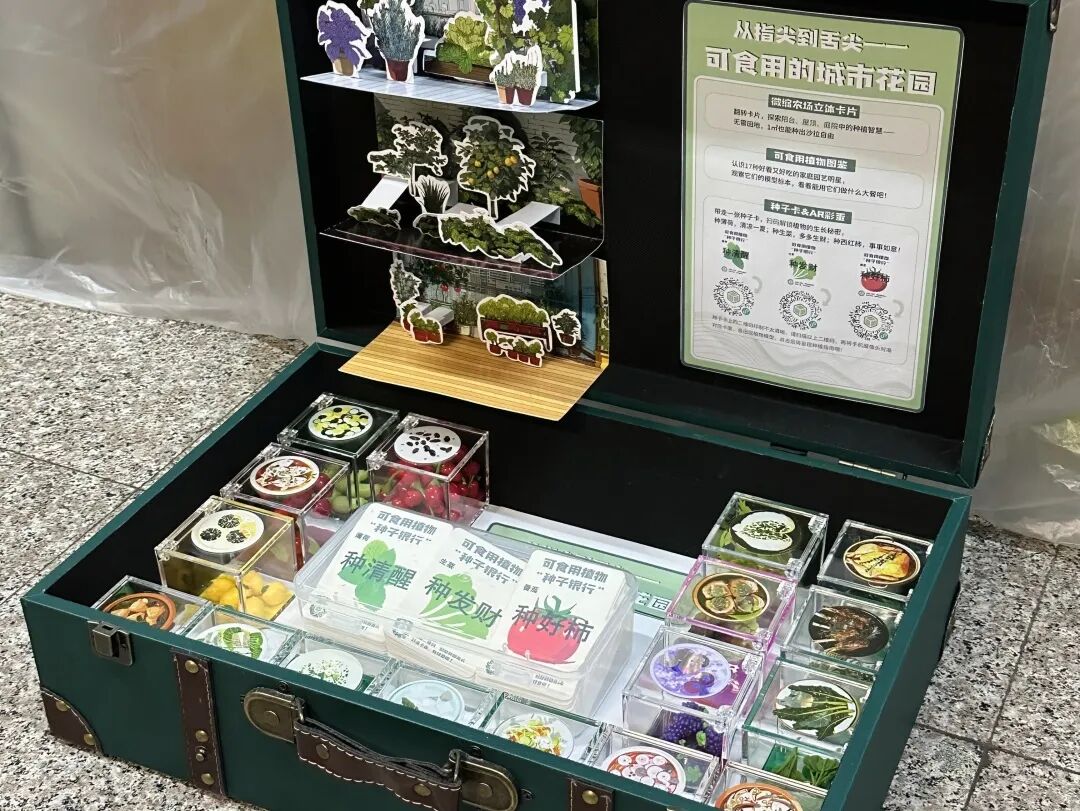 即将开幕！2025北京国际设计周“行动设计”手提箱博物馆流动展览暨沙龙-28