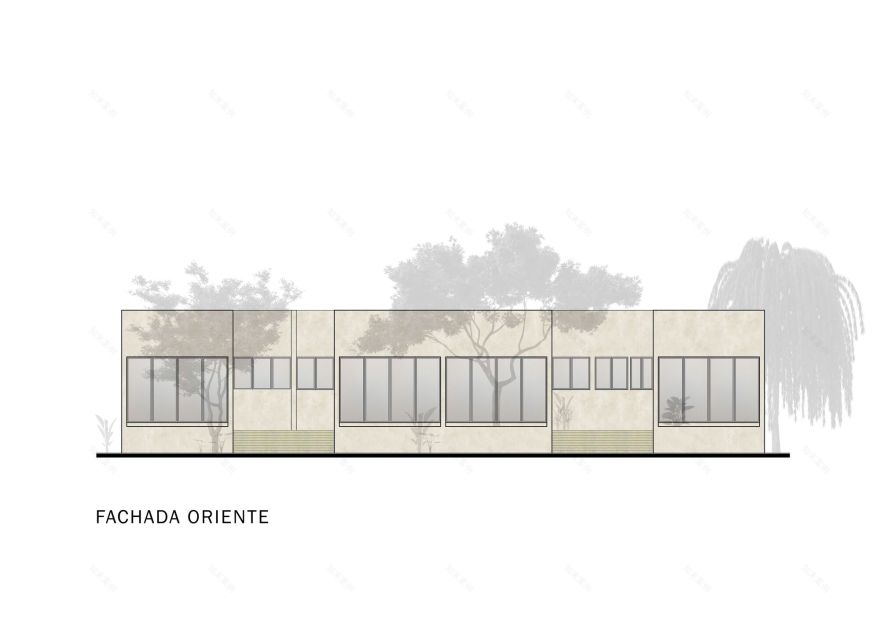 网状房屋丨墨西哥丨Taller Estilo Arquitectura-43