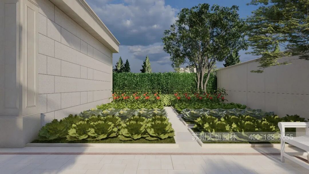 天恒园林｜欧式-栀夏-34