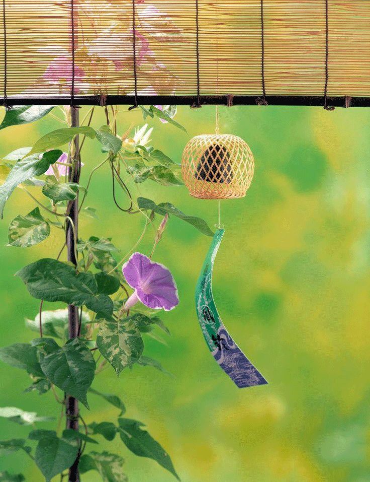 打造惊艳阳台,7 种花卉让空间焕发生机-46