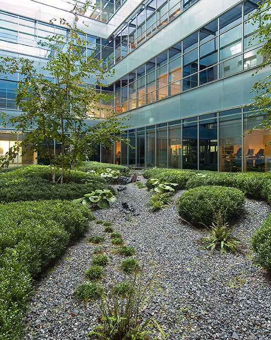 Madrid 办公大楼庭院花园 · 有机自然主义的设计实践-42