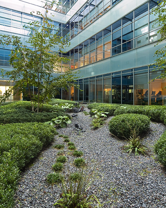 Madrid 办公大楼庭院花园 · 有机自然主义的设计实践-42