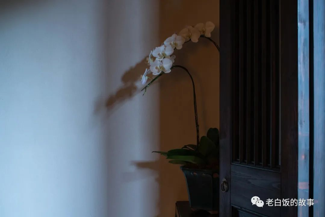 自然生机与古老建筑的碰撞——鼓浪屿二三丛-32